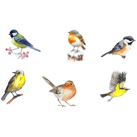 FRCOLOR 6pcs Indoor Window Clings Decorative Static Bird Window Strike Prevention Stickers
FRCOLOR 6pcs Indoor Window Clings Decorative Static Bird Window Strike Prevention Stickers
