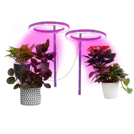 Ring LED Plant Grow Light - Plant Growth Lamp | Indoor Potted Plants Led Growing Lamp | Succulent Desktop Hydroponics Led Growing Light with Automatic Timer
Ring LED Plant Grow Light - Plant Growth Lamp | Indoor Potted Plants Led Growing Lamp | Succulent Desktop Hydroponics Led Growing Light with Automatic Timer