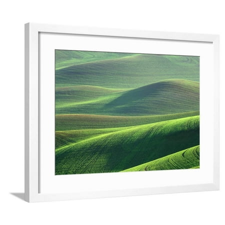 Wheat Springs in the Hills of the Palouse Country, Idaho, USA Framed Print Wall Art By Chuck Haney
