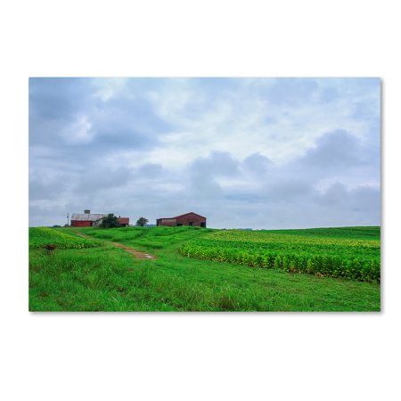 Trademark Fine Art Bob Rouse 'Tobacco Field' Canvas Art