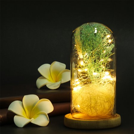 Festival Gift Romantic Simulation Gypsophila Glass Cover practical LED Micro Landscape