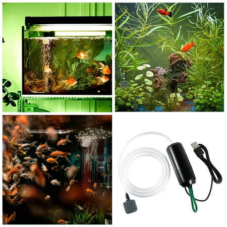 Usb Powered Oxygen Portable Mini Aquarium Fish Tank Air Oxygen Bubbler With Air Stone Mute Energy Saving Supplies Accessories For Fish Tank Aquarium 2024 New
Usb Powered Oxygen Portable Mini Aquarium Fish Tank Air Oxygen Bubbler With Air Stone Mute Energy Saving Supplies Accessories For Fish Tank Aquarium 2024 New
