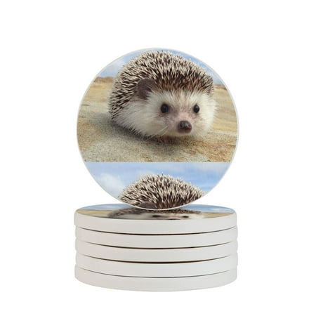 Circular Drink Coasters Set Cute Hedgehog Beautiful Home Decor Diatomite Heat-Resistant Diatomite Protect Table Countertop
Circular Drink Coasters Set Cute Hedgehog Beautiful Home Decor Diatomite Heat-Resistant Diatomite Protect Table Countertop
