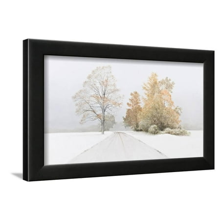 Autumn Snowfall Framed Print Wall Art By Alexander Volkov