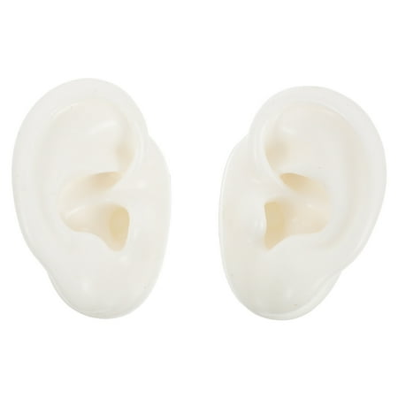 1 Pair Silicone Ear Model Reusable Simulation Human Ear Model for Shop Window Displays
1 Pair Silicone Ear Model Reusable Simulation Human Ear Model for Shop Window Displays