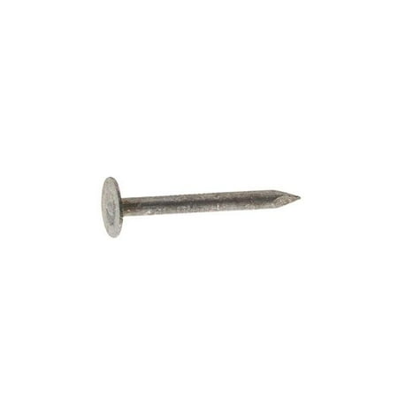 0.75 in. 50 lbs Roofing Electro-Galvanized Steel Round Nail