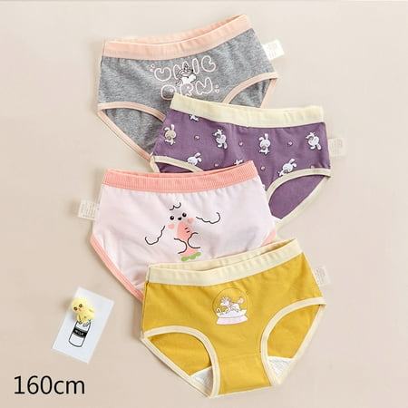 4pcs Comfortable Cotton Underwear for Girls Over 8 Years Old Hipster Underpants 160cm 2023-1
4pcs Comfortable Cotton Underwear for Girls Over 8 Years Old Hipster Underpants 160cm 2023-1