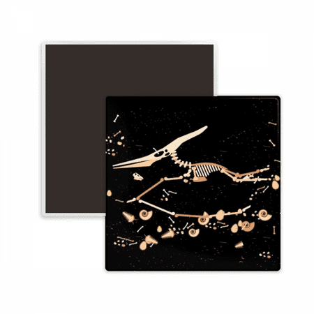 Bone Miniature Dinosaur Bones Square Ceracs Fridge Magnet Keepsake Memento