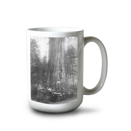 15 fl oz Ceramic Mug Calaveras County California Parked Car by Giant Redwood Dishwasher & Microwave Safe
15 fl oz Ceramic Mug Calaveras County California Parked Car by Giant Redwood Dishwasher & Microwave Safe