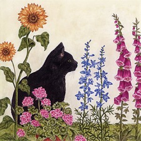 Alice's Cottage Black Cat Flour Sack Single Kitchen Towel, New
