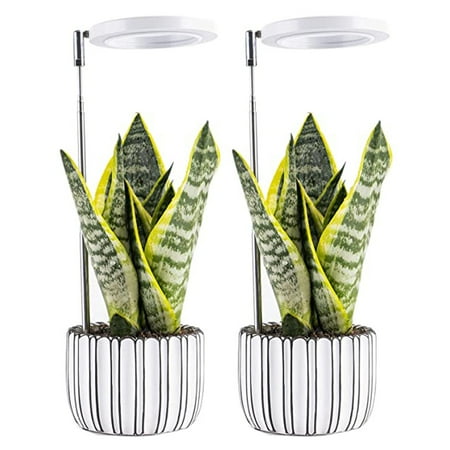 2pcs Plant Grow Light for Indoor Plants Full Spectrum Small LED Growing Lamp full spectrum automatic light timer 9 adjustable levels 3 kinds of red indoor plants
2pcs Plant Grow Light for Indoor Plants Full Spectrum Small LED Growing Lamp full spectrum automatic light timer 9 adjustable levels 3 kinds of red indoor plants