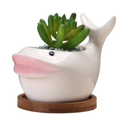 Alueeu garden of life products gardening supplies Mini Flowerpot With Drainage Function Miniature Ceramic Flowerpot the holder
Alueeu garden of life products gardening supplies Mini Flowerpot With Drainage Function Miniature Ceramic Flowerpot the holder
