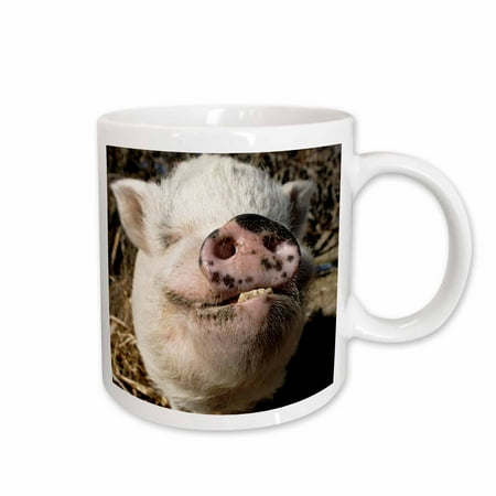 3dRose Pet pot bellied pig Farm animal New Mexico - US32 JMR0497 - Julien McRoberts Ceramic Mug 11-ounce
3dRose Pet pot bellied pig Farm animal New Mexico - US32 JMR0497 - Julien McRoberts Ceramic Mug 11-ounce