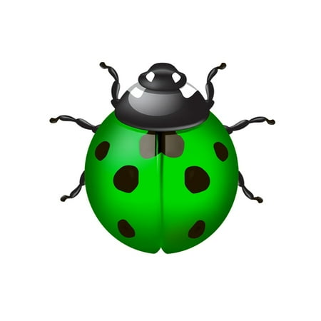 Riapawel Cute Metal Lady Bug Wall Decor Hanging Insects Wall Art For Home Garden Patio
Riapawel Cute Metal Lady Bug Wall Decor Hanging Insects Wall Art For Home Garden Patio