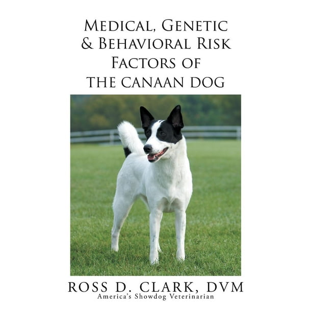 Medical, Genetic & Behavioral Risk Factors of the Canaan Dog (Other)