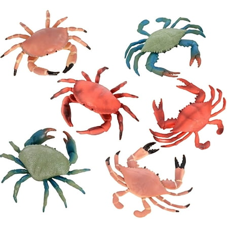 FRCOLOR 6Pcs Educational Simulation Crab Learning Hairy Crab Playset Animal Model Artificial Simulation Crab
FRCOLOR 6Pcs Educational Simulation Crab Learning Hairy Crab Playset Animal Model Artificial Simulation Crab