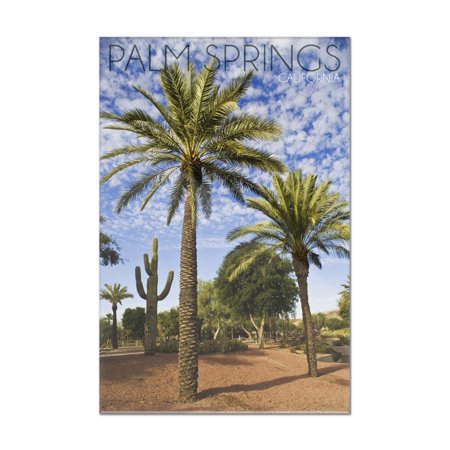 Palm Springs, California - Palm Trees & Cactus - Lantern Press Photography (12x18 Acrylic Wall Art Gallery Quality)