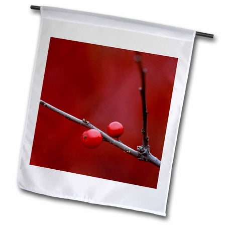 3dRose Michigan, winterberry holly berries - US23 BJA0052 - Jaynes Gallery - Garden Flag, 12 by 18-inch
