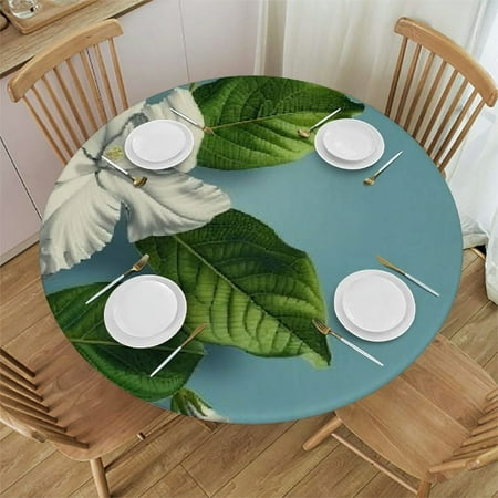Sheronv Flowers Leaves Blue Background Round Table Cover Stain Resistant Washable Indoor Outdoor Tablecloth Kitchen Dining Wedding Parties Table Cloth 100% Polyester Fiber 38-42
Sheronv Flowers Leaves Blue Background Round Table Cover Stain Resistant Washable Indoor Outdoor Tablecloth Kitchen Dining Wedding Parties Table Cloth 100% Polyester Fiber 38-42