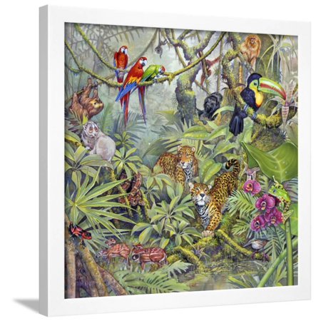 Jungle Framed Print Wall Art By Tim Knepp