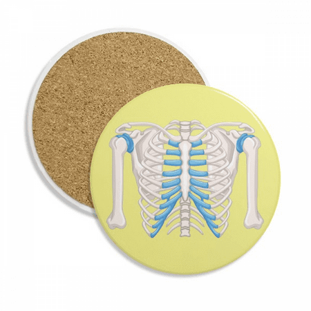 Rib Thoracic Lucky Illustration Coaster Cup Mug Tabletop Protection Absorbent Stone
Rib Thoracic Lucky Illustration Coaster Cup Mug Tabletop Protection Absorbent Stone