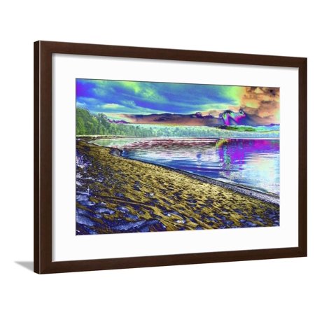 DSC0426 Framed Print Wall Art By Tom Kelly
