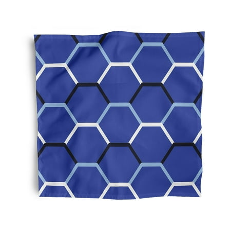 Simply Daisy 18 x 18 Blue Cool Shades Napkins Set of 4