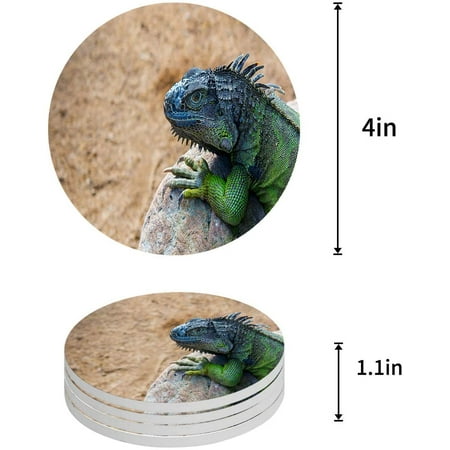 ZHANZZK Tropical Wildlife Lizard Set of 6 Round Coaster for Drinks Absorbent Ceramic Stone Coasters Cup Mat with Cork Base for Home Kitchen Room Coffee Table Bar Decor
ZHANZZK Tropical Wildlife Lizard Set of 6 Round Coaster for Drinks Absorbent Ceramic Stone Coasters Cup Mat with Cork Base for Home Kitchen Room Coffee Table Bar Decor