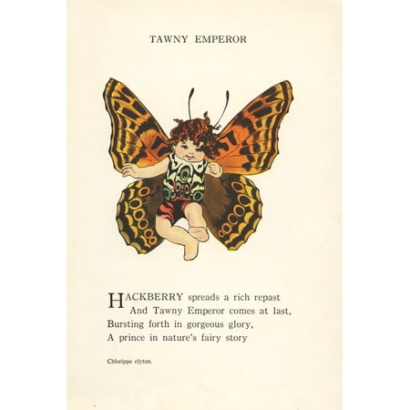 Butterfly Babies 1914 Tawny Emperor Canvas Art - MT Ross (18 x 24)