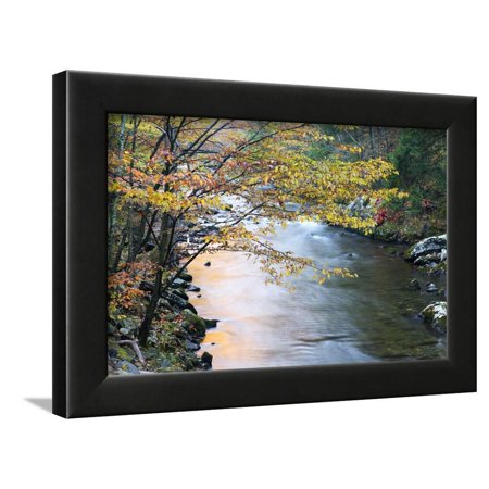 Tennessee, Great Smoky Mountains National Park, Little River Framed Print Wall Art By Jamie & Judy Wild