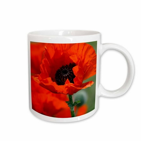 3dRose Beautiful Red Poppy Ceramic Mug 11-ounce