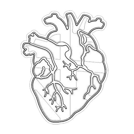 Hloma White Biscuit Mold Easy Demoulding Guide Angle Design Lifelike Clear Texture Bake Three-dimensional Human Skull Cookie Cutter for Kitchen
Hloma White Biscuit Mold Easy Demoulding Guide Angle Design Lifelike Clear Texture Bake Three-dimensional Human Skull Cookie Cutter for Kitchen