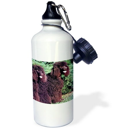 3dRose Irish Water Spaniel Sports Water Bottle 21oz