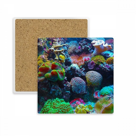 Ocean Colorful Science Nature Picture Square Coaster Cup Mat Mug Subplate Holder Insulation Stone
Ocean Colorful Science Nature Picture Square Coaster Cup Mat Mug Subplate Holder Insulation Stone