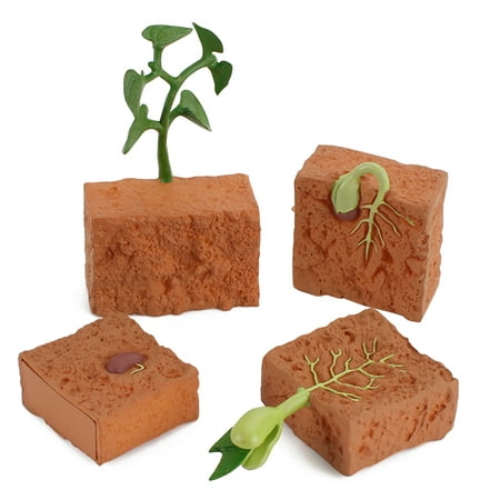 

MyBeauty 4Pcs Plants Grown Toy Simulation Educational PVC Plant Growth Cycle Model for Home