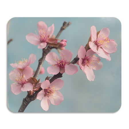 ALAZA Dish Drying Mat for Kitchen Cherry Flowers Blooming Counter Absorbent Draining Pad 15.7 x11.8
ALAZA Dish Drying Mat for Kitchen Cherry Flowers Blooming Counter Absorbent Draining Pad 15.7 x11.8