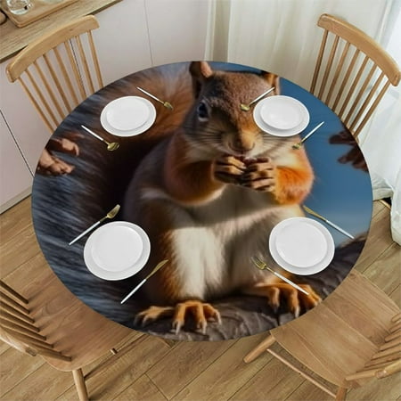 Autua Squirrel Pine Cone Round Tablecloth Stain Resistant and Washable for Indoor Outdoor Dining Parties 100% Polyester Waterproof Table Cover 31 -35
Autua Squirrel Pine Cone Round Tablecloth Stain Resistant and Washable for Indoor Outdoor Dining Parties 100% Polyester Waterproof Table Cover 31 -35