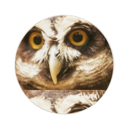 Circular Drink Coasters Set Spectacle Owl Beautiful Home Decor Diatomite Heat-Resistant Diatomite Protect Table Countertop
Circular Drink Coasters Set Spectacle Owl Beautiful Home Decor Diatomite Heat-Resistant Diatomite Protect Table Countertop