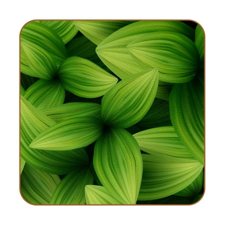 OWNTA Green Tropical Leaves Pattern 3 Pattern Premium 6-Piece Square Coaster Set in Microfiber Leather - Non-Slip & Absorbent Cup Mats
OWNTA Green Tropical Leaves Pattern 3 Pattern Premium 6-Piece Square Coaster Set in Microfiber Leather - Non-Slip & Absorbent Cup Mats