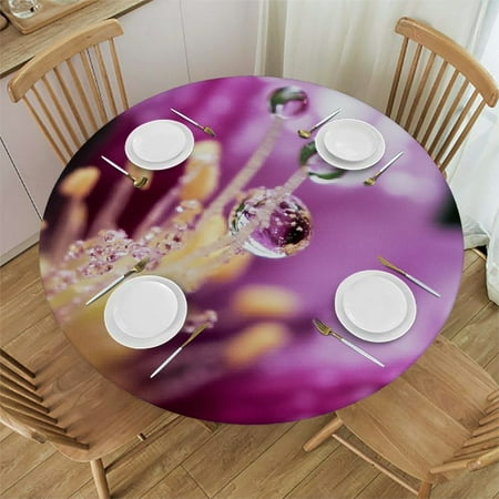 Spring Bird Round Fitted Tablecloth with Elastic Edge Birds Tree Table Cover Waterproof Wipeable Table Cloths for Round Tables Ideal for Picnic Patio Fits Tables up to Diameter
Spring Bird Round Fitted Tablecloth with Elastic Edge Birds Tree Table Cover Waterproof Wipeable Table Cloths for Round Tables Ideal for Picnic Patio Fits Tables up to Diameter