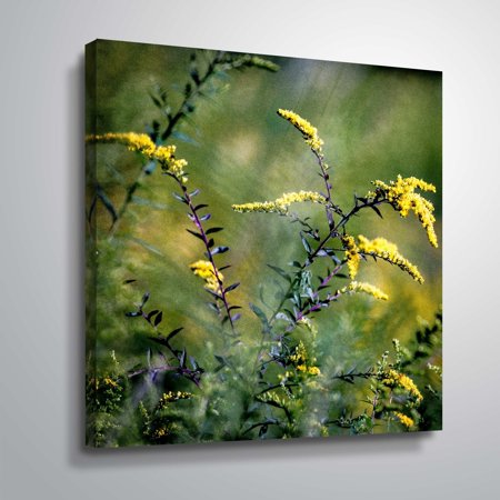 ArtWall Richard James 'Yellow Flowers Purple Stems' Gallery Wrapped Canvas - Green