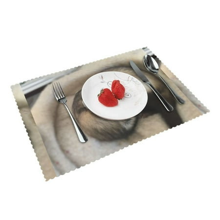 Home Special Cute Ferret Placemats Set Of 4 Washable Wipeable Place Mats Place Mats For Festival Parties Family Dinner (12 X 18inch)
Home Special Cute Ferret Placemats Set Of 4 Washable Wipeable Place Mats Place Mats For Festival Parties Family Dinner (12 X 18inch)