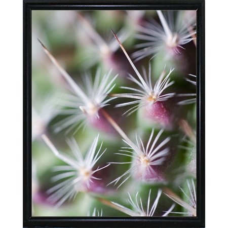 Cactus III-JANSUL114708 Print 10"x8" by Janice Sullivan in a Flat Black Metal Frame