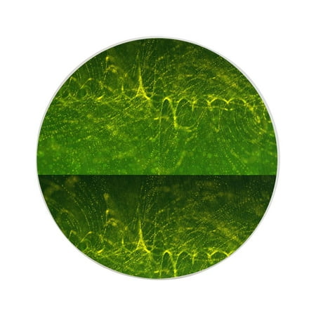 Circular Drink Coasters Set Cinematic Particles Background Beautiful Home Decor Diatomite Heat-Resistant Diatomite Protect Table Countertop
Circular Drink Coasters Set Cinematic Particles Background Beautiful Home Decor Diatomite Heat-Resistant Diatomite Protect Table Countertop