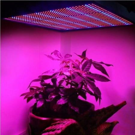 FANTADOOL Indoor Led Growth Light 120W Plant Growth Lamps Full Spectrum Seeding Lights Ppe2.7 1365Pcs Leds Waterproof Ip65
FANTADOOL Indoor Led Growth Light 120W Plant Growth Lamps Full Spectrum Seeding Lights Ppe2.7 1365Pcs Leds Waterproof Ip65