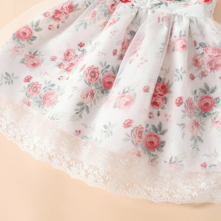 Cathalem Girls Bridesmaid Dresses Floral Dresses Beach Ruffles 1-5Y Girls Vacation Summer Leotards Dress for Girls Dress Pink 12-18 Months
Cathalem Girls Bridesmaid Dresses Floral Dresses Beach Ruffles 1-5Y Girls Vacation Summer Leotards Dress for Girls Dress Pink 12-18 Months