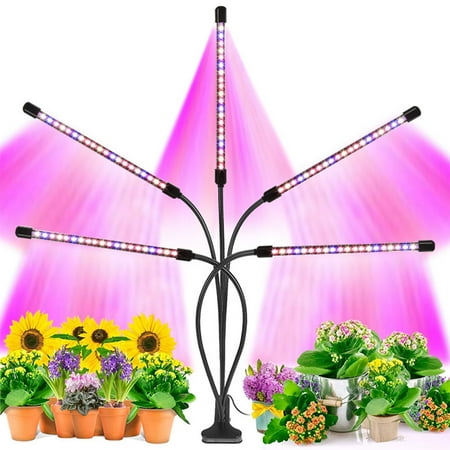 Grow Lights for Indoor Plant GIUGT 100W Plant Light 3/9/12h Timer 3 Switch Modes Adjustable Gooseneck 10 Dimmable Brightness for Greenhouse Flowers Veg Succulent
Grow Lights for Indoor Plant GIUGT 100W Plant Light 3/9/12h Timer 3 Switch Modes Adjustable Gooseneck 10 Dimmable Brightness for Greenhouse Flowers Veg Succulent