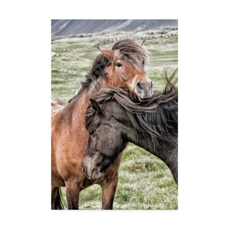 Trademark Fine Art 'Best Friends Horses' Canvas Art by Danny Head