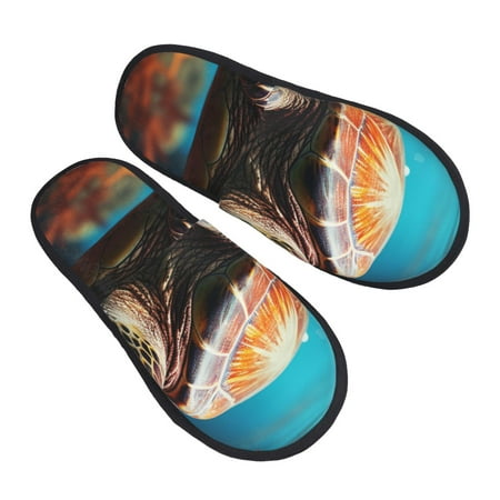 Bingfone Realistic Turtle House Slippers for Women Men with Soft Rubber Sole Slip On for Indoor/Outdoor-Medium
Bingfone Realistic Turtle House Slippers for Women Men with Soft Rubber Sole Slip On for Indoor/Outdoor-Medium