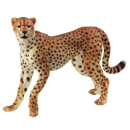Cheetah - Action Figures by Papo Figures (50020)
